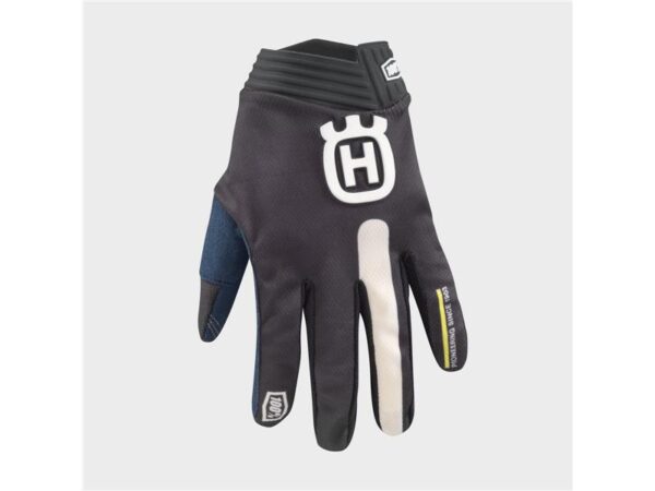 3HS210005506-iTrack Origin Gloves-image